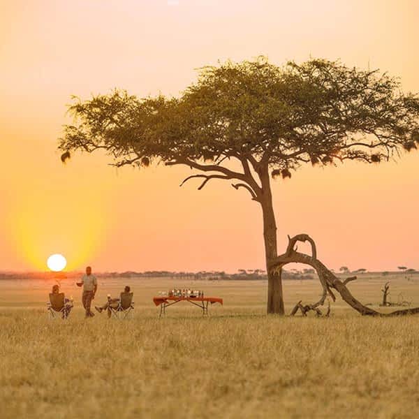 serengeti-mara-safari-area