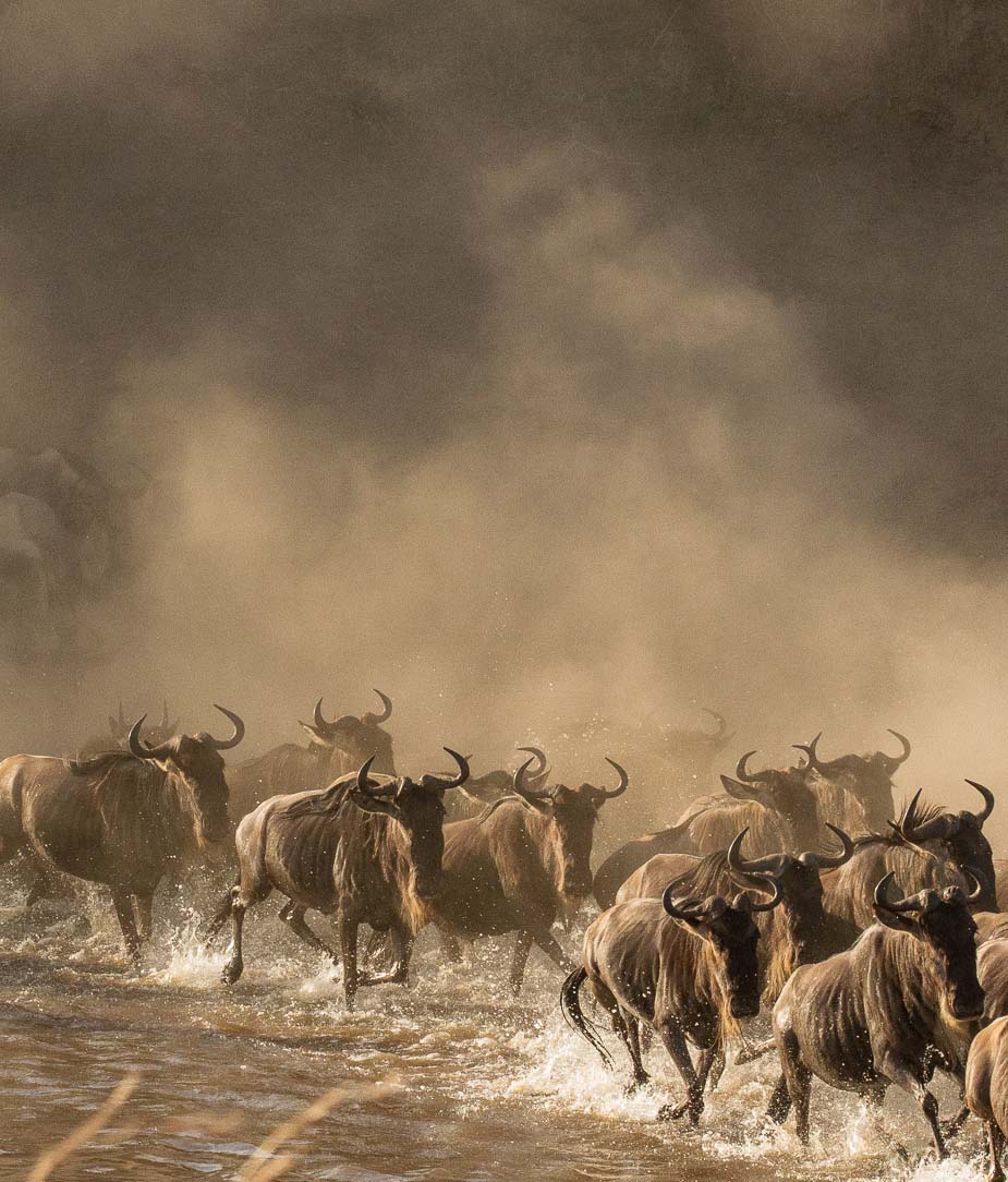 Into the Dust: A Journey into Tanzania’s Wild Frontier