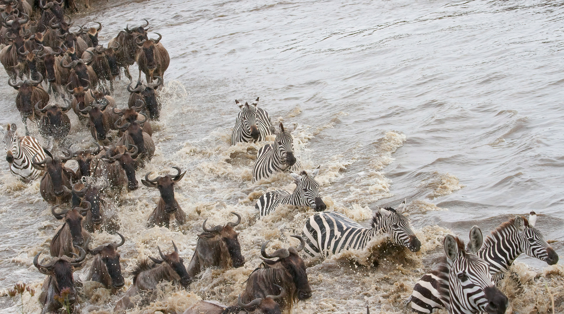 05 Days journey Across the wild Wonders