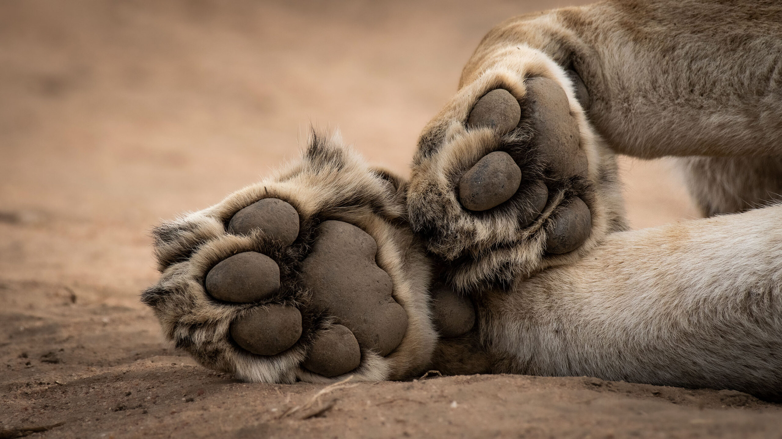 Unveiling the Treasures of Southern Tanzania