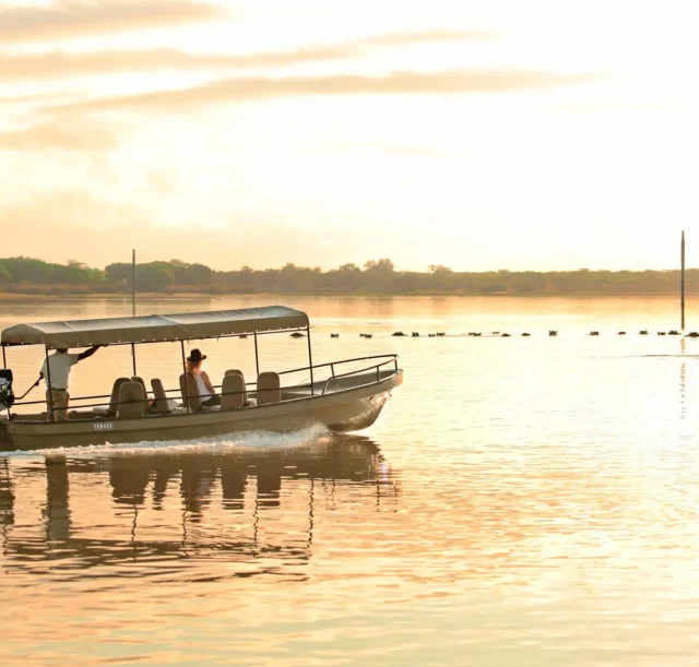 Observing-a-pod-of-hippos-on-a-boat-safari.jpg