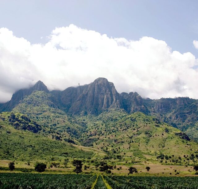 West_Usambara_Mountains