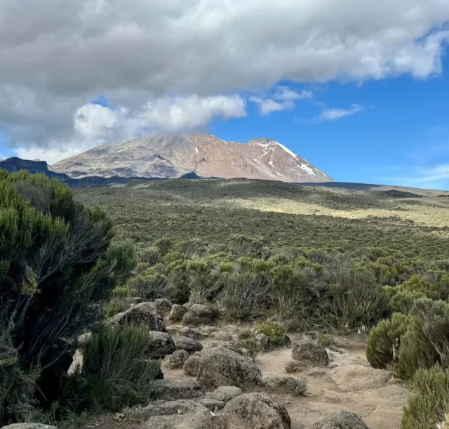 lemosho-route-shira-plateau-kilimanjaro